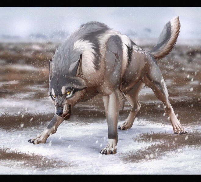 $115 example $115 example