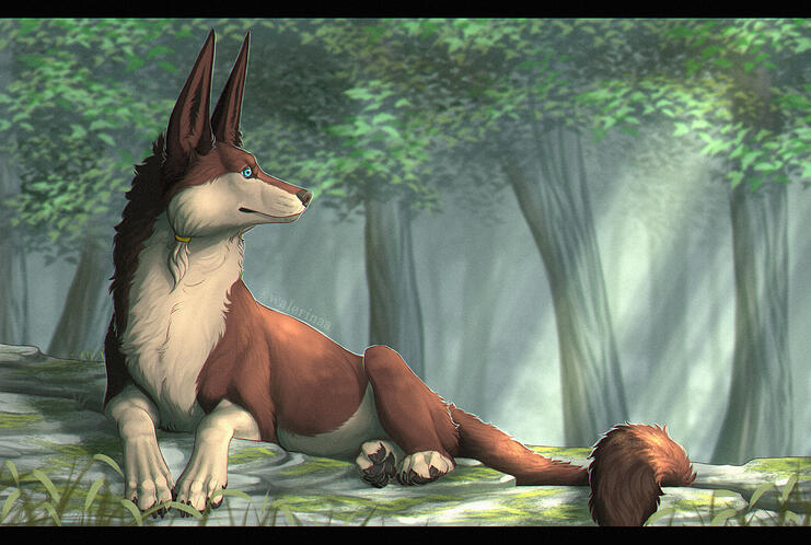 $45 example $45 example